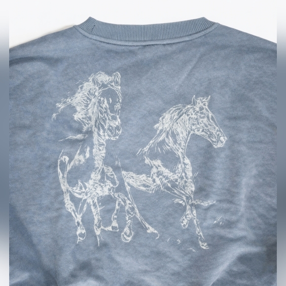 H&M 2pk Crop Top sweat shirts blue/grey western horses pink embroidered sm/med - Picture 4 of 5